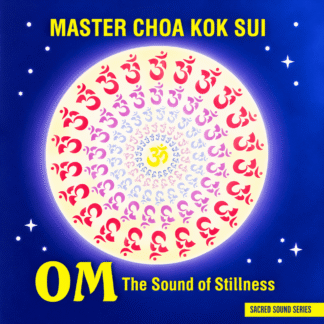 Audio- The Sound of Stillness